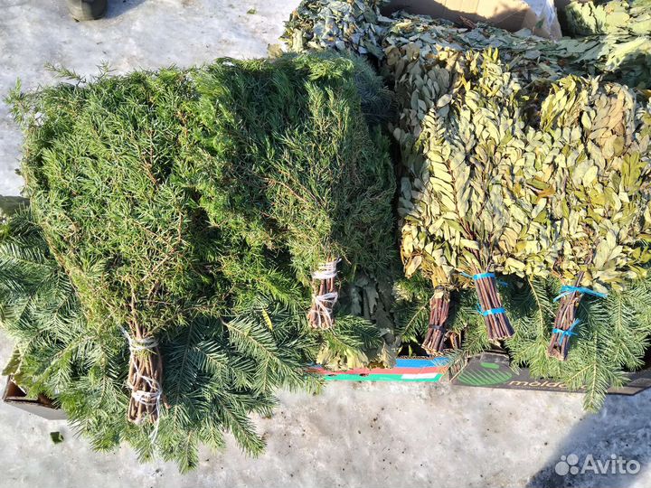 Пихтовые веники для бани