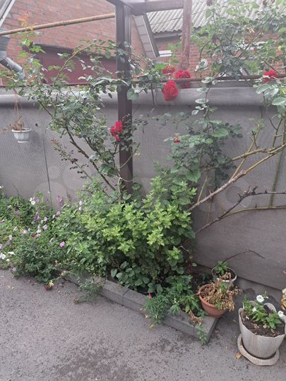 Дом 81 м² на участке 2,5 сот.