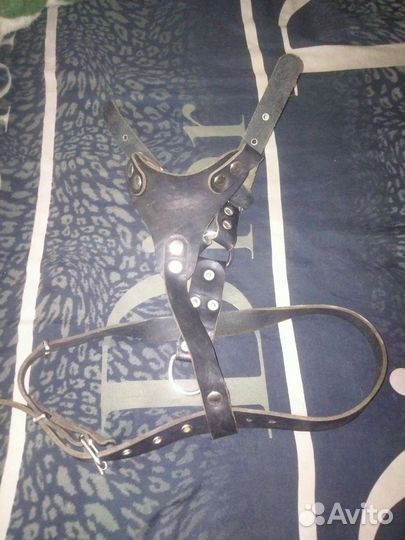 Шлейка для крупных собак кожанная