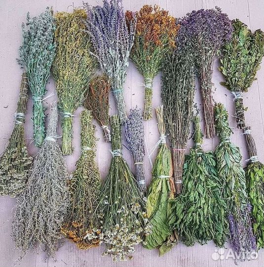 Душистая трава для бани Донник оптом со склада