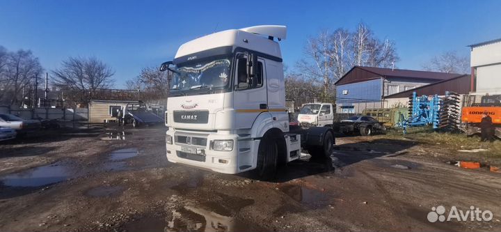 КАМАЗ 5490-022-87(S5), 2017