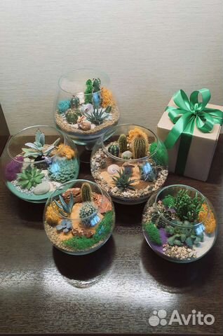 Флорариум (растения)