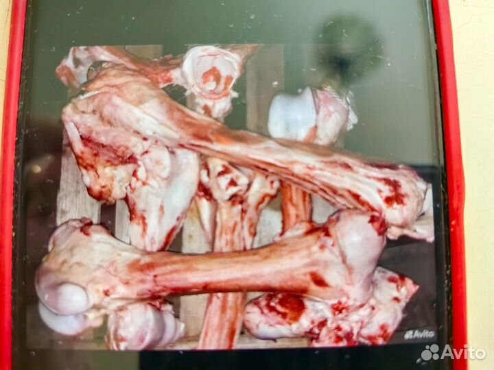 Кости говяжьи