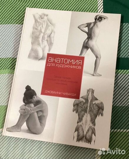 Книга по анатомии для художников