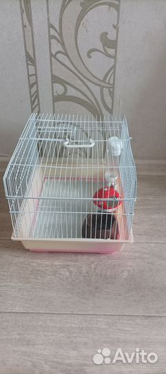 Клетка для грызунов