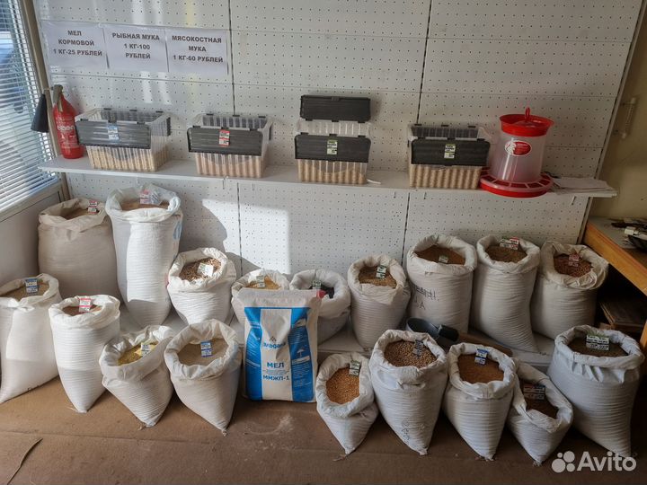 Зерно, опилки, сено, кормовые добавки