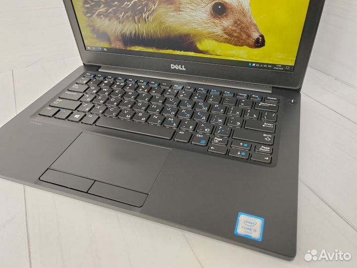 Ноутбук Dell Latitude 7280 / i5-6300U / 8gb / ssd