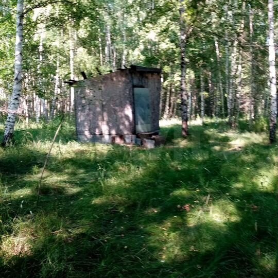 Участок 39 сот. (СНТ, ДНП)