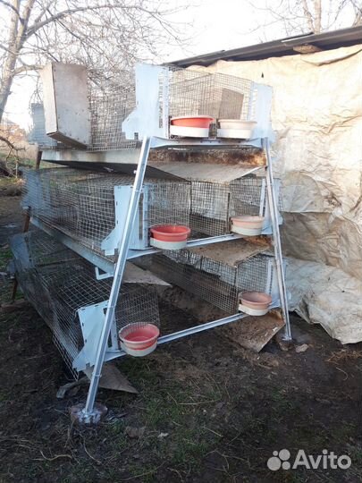 Клетка для содержания кроликов или птицы