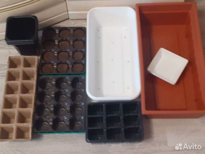 Для рассады