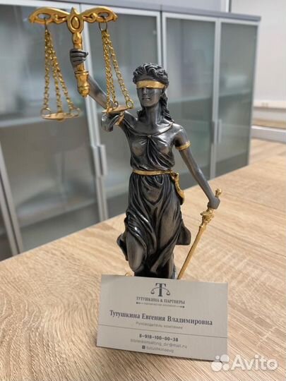 Юрист Споры свет бесхозные сети нэск