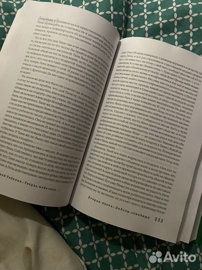 Твердь небесная, Рябинин Юрий