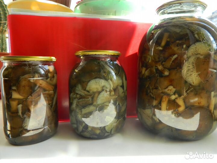 Маринованные, сухие и т.п. грибы