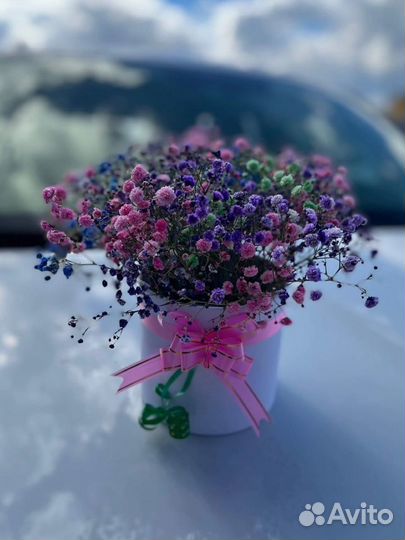 Гипсофила в коробке