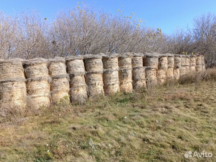 Сено в тюках