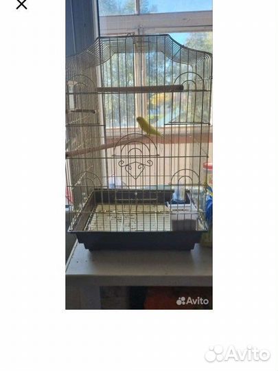 Клетка для попугая