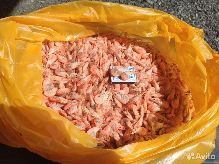 Азовская креветка оптом