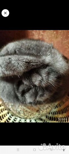 Берет женский норка