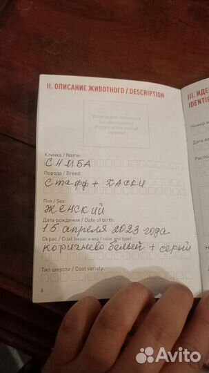 Смесь Хаски Стаф