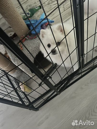 Вольер для собак в квартиру бу
