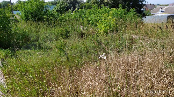 Участок 12 сот. (ИЖС)