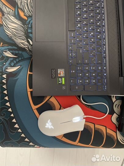 Ноутбук hp victus 16