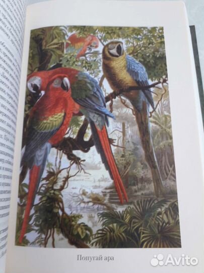 Брем жизнь животных