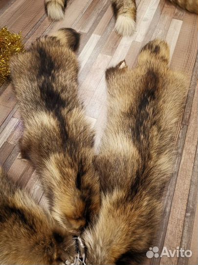 Шкура енота мех