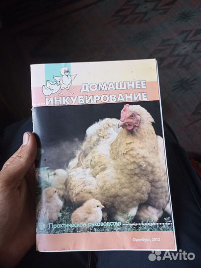 Инкубатор блиц 48