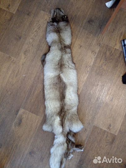 Шкурка песца