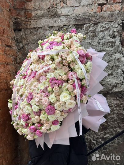 201 пионовидная роза / кустовые розы