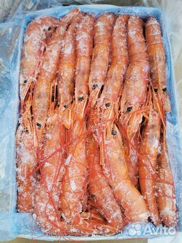 Лангустины L1 в наличии