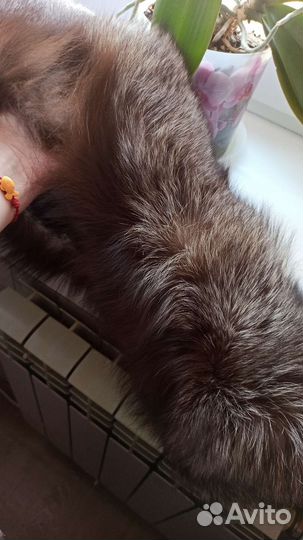 Меховой воротник чернобурка