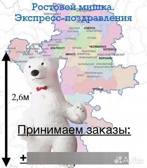 Ростовой мишка