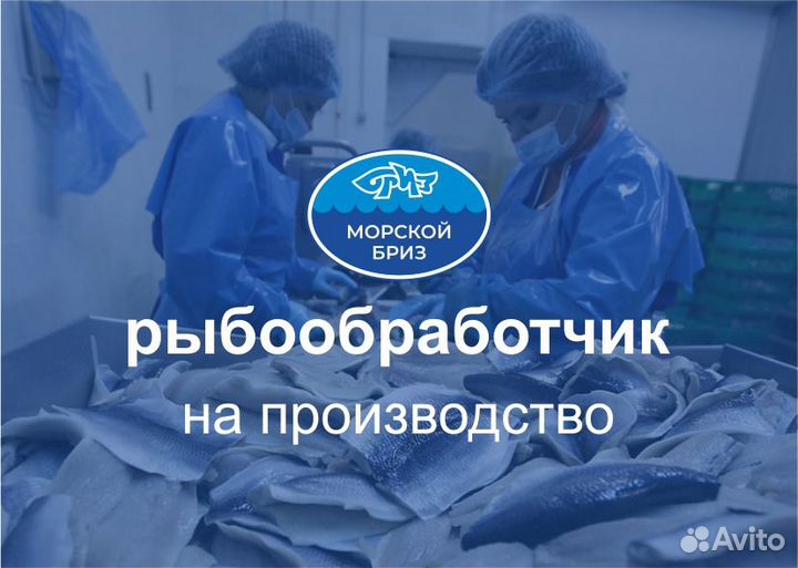 Рыбообработчик