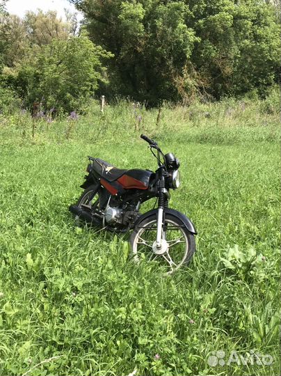 Орион грифон 125