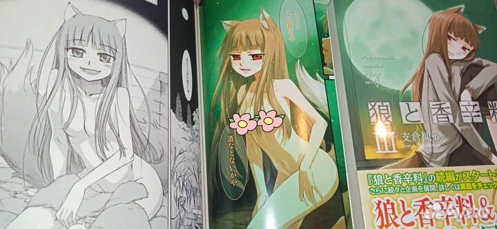 Волчина и пряности (манга и ранобэ на японском)