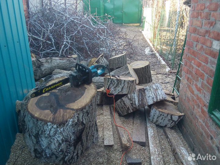 Спиливание деревьев в Ейске и Ейском районе