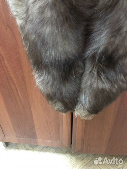 Воротники писец и шапки, зима