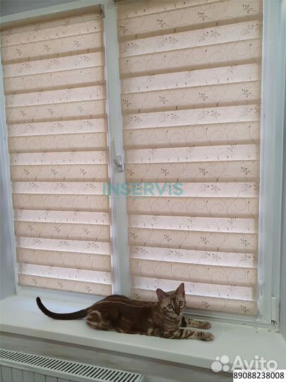 Зебра день ночь блэкаут