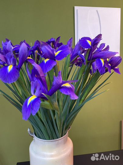 Букет из ирисов 17 шт