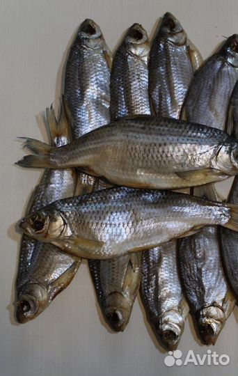 Астраханская вяленая вобла/Доставка