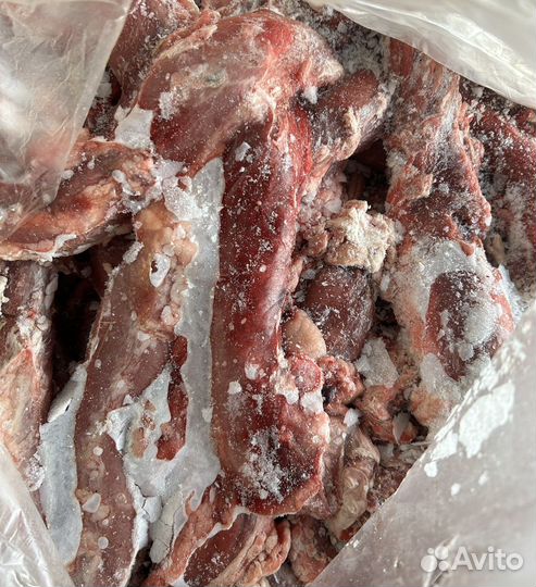 Мясо и субпродукты для собак оптом