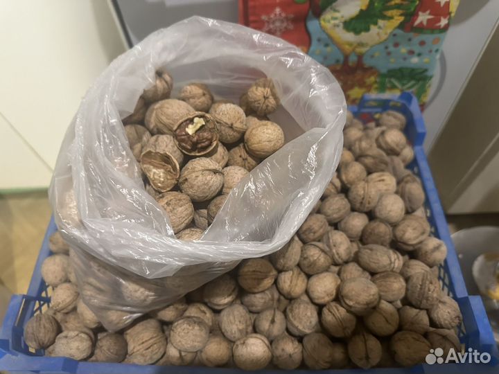 Грецкий орех в скорлупе