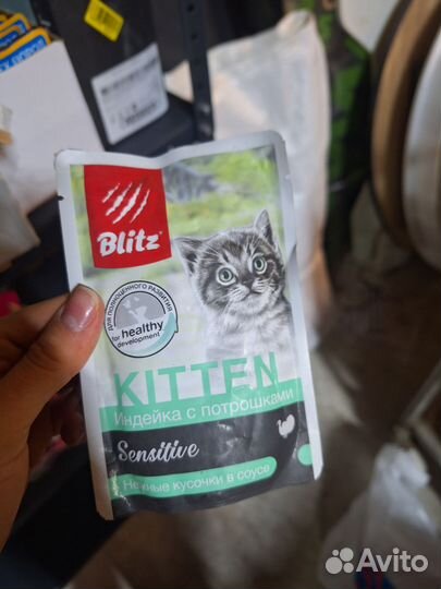 Влажный корм для кошек