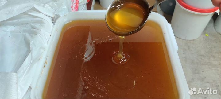 Жидкий майский мед оптом