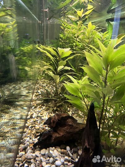 Аквариум с тумбой