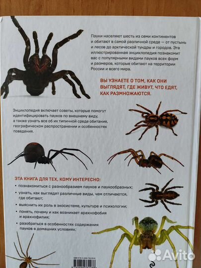 Энциклопедия 