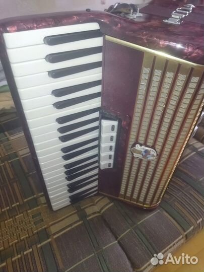 Аккордеон