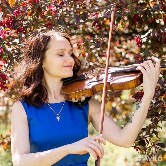 Скрипка на праздник.Живая музыка.Скрипач.Музыкант